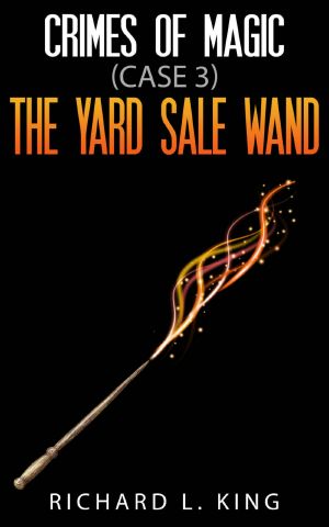 [Crimes of Magic 03] • The Yard Sale Wand